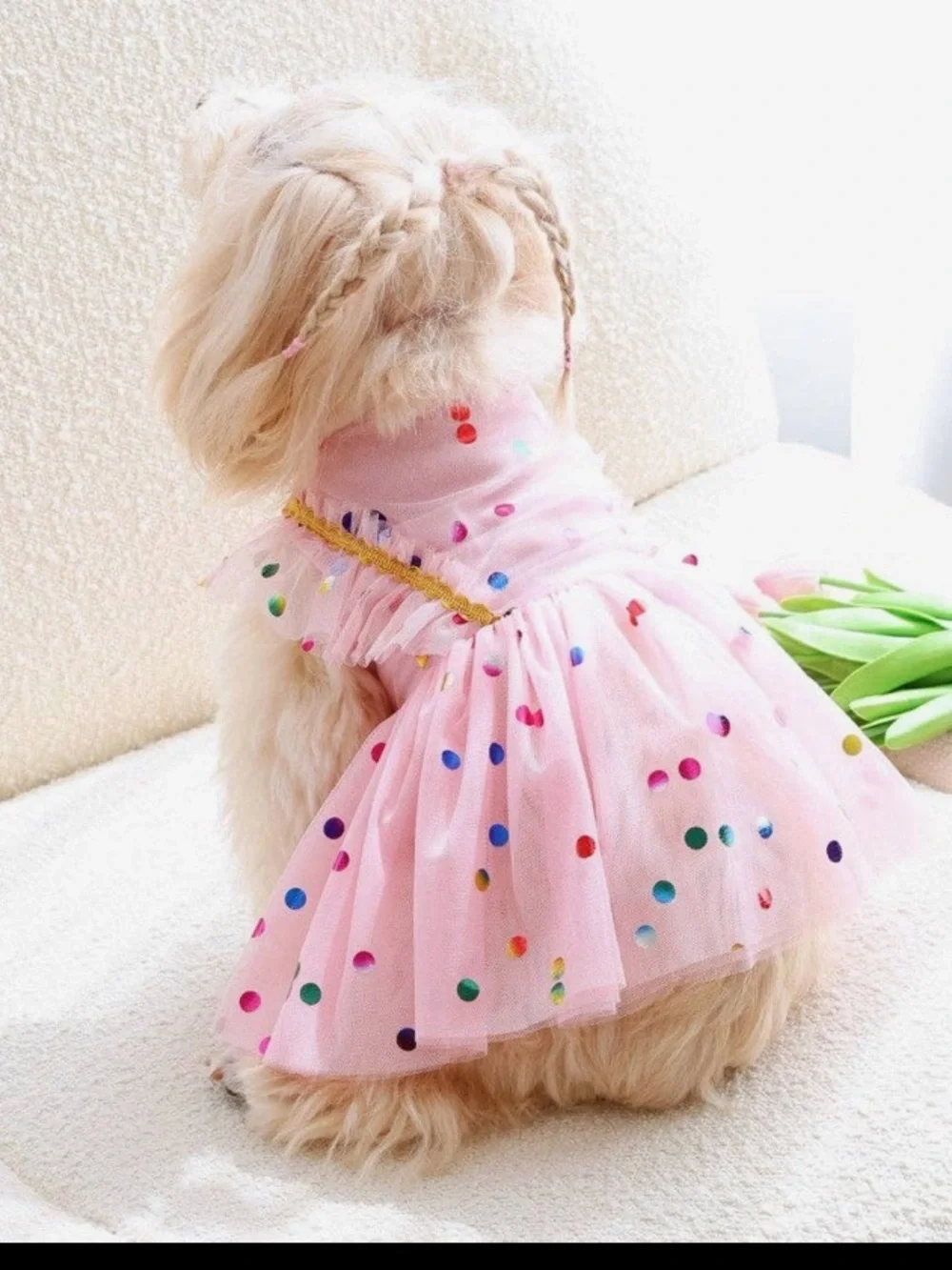 Pet  Pink Polka Dot Tulle Party Dress